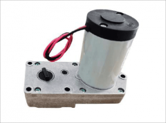 DC Motor with Gear Box